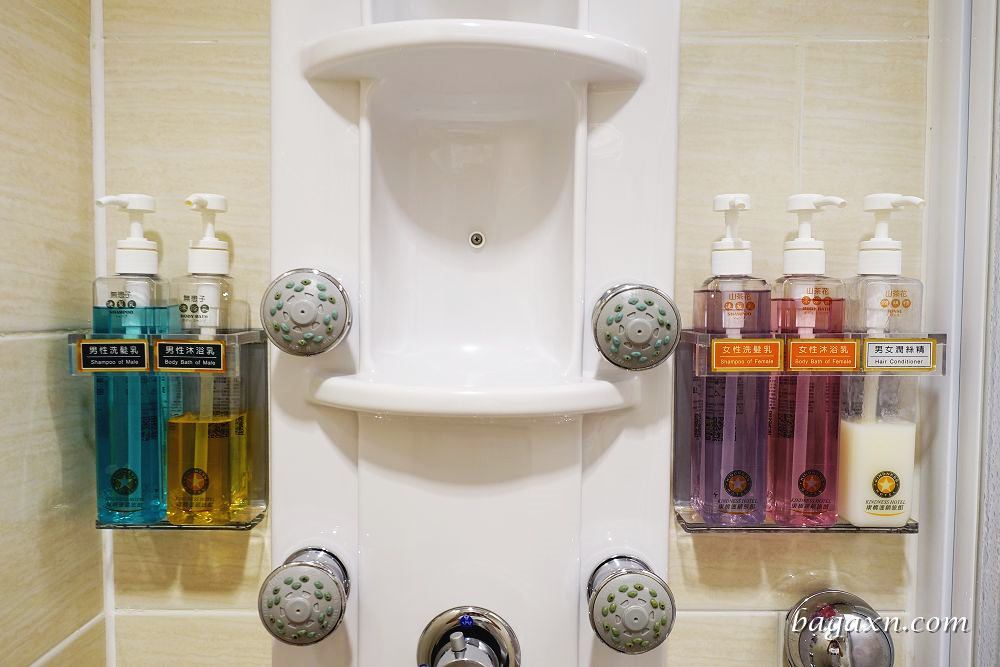 台南康橋商旅民生館 (10)