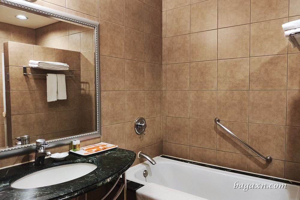 台南維悅酒店 (13)