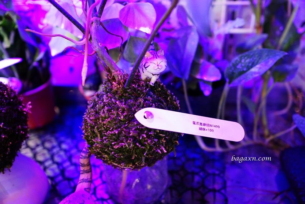 台中西區勤美精油按摩│舒活養生館。手法專業態度親切，按摩刮痧一次享受