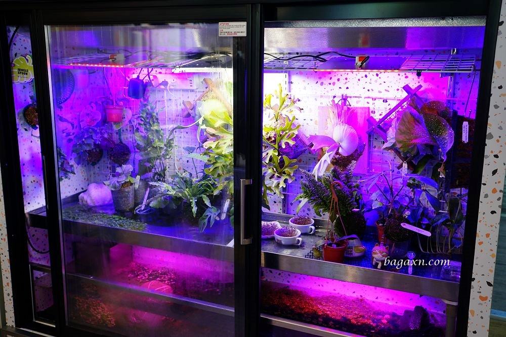 台中西區勤美精油按摩│舒活養生館。手法專業態度親切，按摩刮痧一次享受