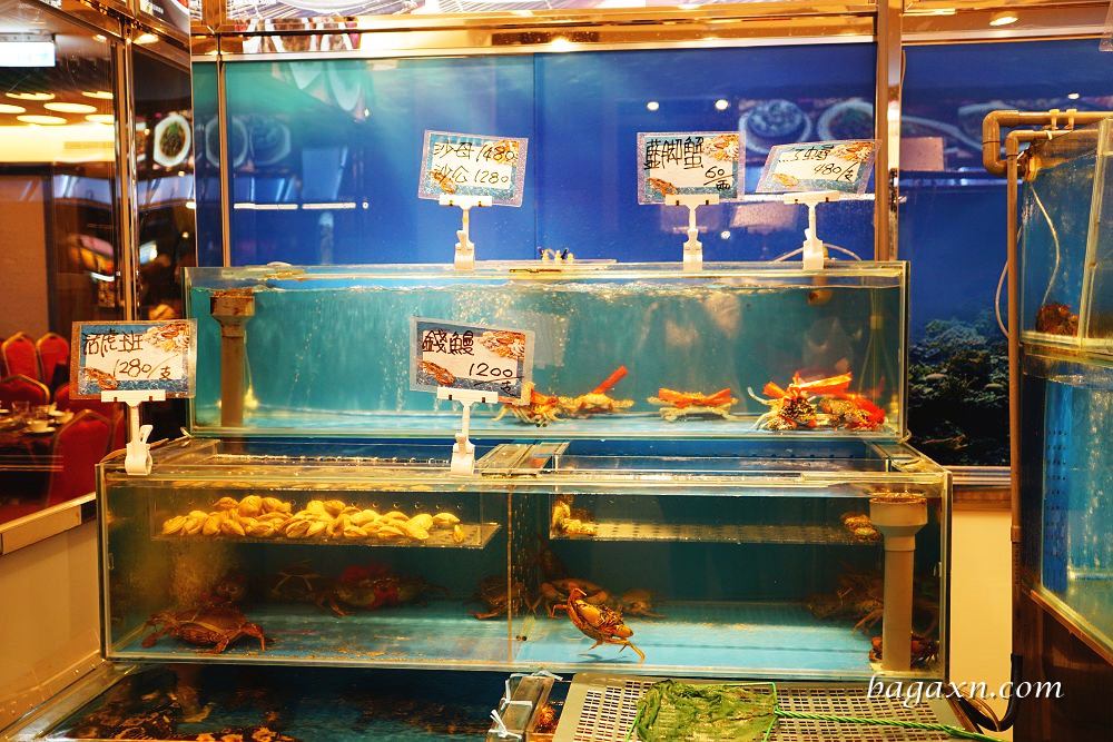 阿秋大肥鵝餐廳健康店-年菜尾牙 (12)
