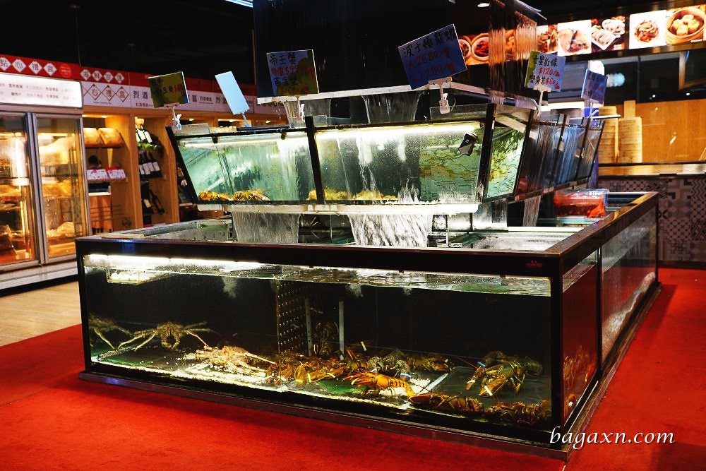 台中陽江鵝│阿秋大肥鵝餐廳(黎明店)。陽江鵝皮脆肉多汁半隻即可上桌