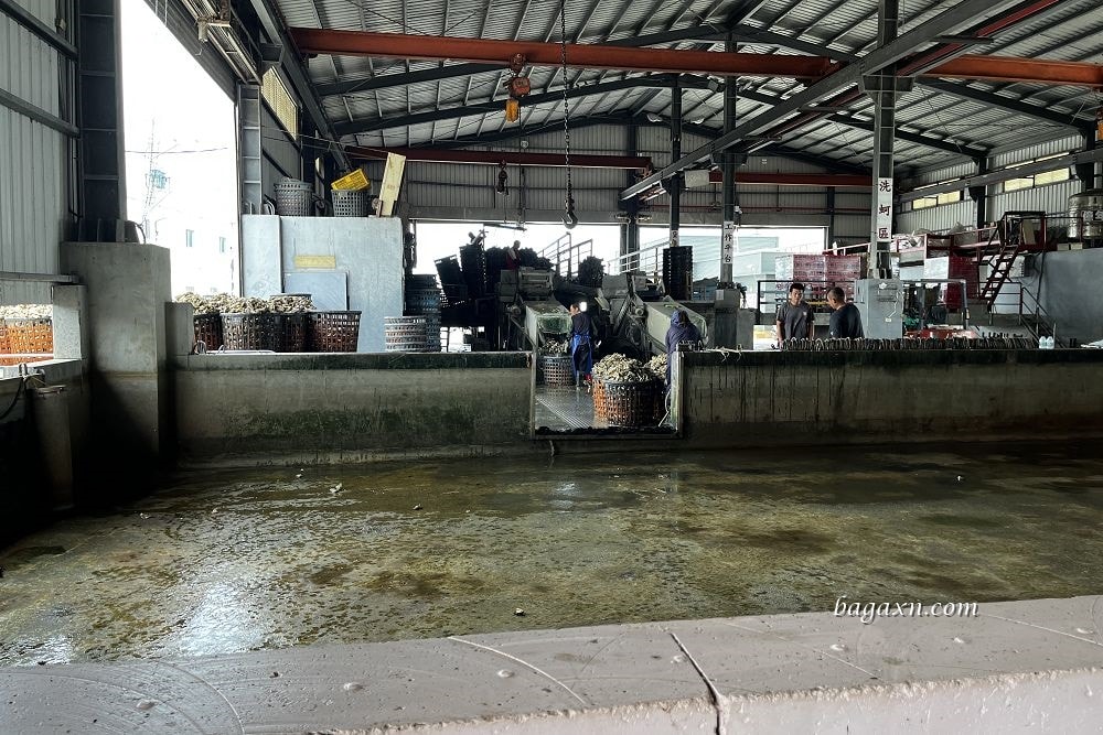 嘉義鮮蚵吃到飽│季津全蚵宴。全蚵料理399吃到飽 - 第5張圖 嘉義鮮蚵吃到飽│季津全蚵宴。全蚵料理399吃到飽