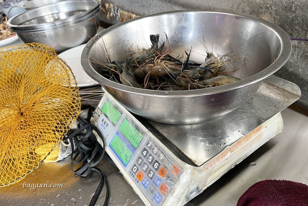 嘉義布袋│榕樹下阿瑞戶外釣蝦場。泰國蝦超好釣，親子同樂的好去處