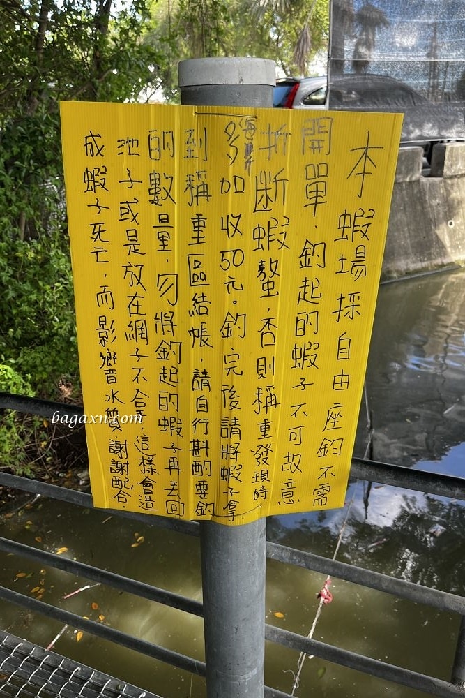 嘉義布袋│榕樹下阿瑞戶外釣蝦場。泰國蝦超好釣，親子同樂的好去處