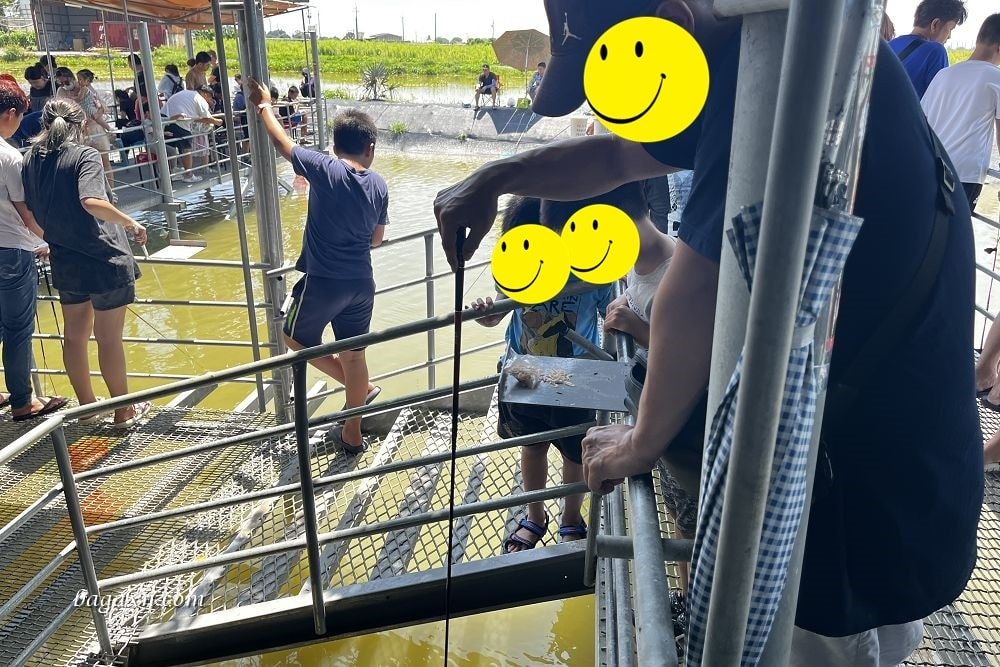 嘉義布袋│榕樹下阿瑞戶外釣蝦場。泰國蝦超好釣，親子同樂的好去處