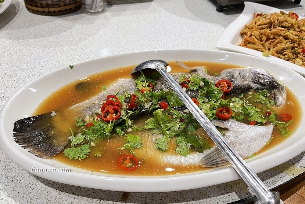 台中南屯│全海岸活蝦之家。生日聚餐尾牙節慶都合適