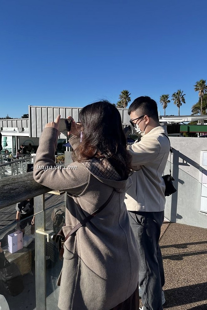 紐西蘭奧克蘭│懷希基島一日遊。渡輪+隨上隨下巴士.好吃的冰淇淋和法式可麗餅