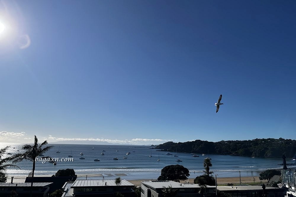 紐西蘭奧克蘭│懷希基島一日遊。渡輪+隨上隨下巴士.好吃的冰淇淋和法式可麗餅