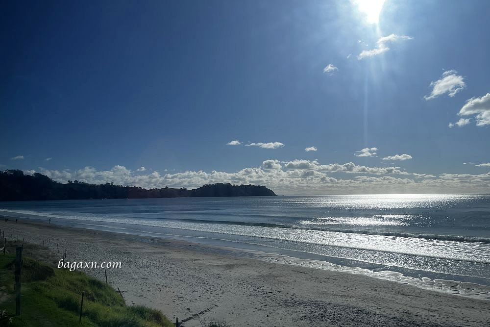 紐西蘭奧克蘭│懷希基島一日遊。渡輪+隨上隨下巴士.好吃的冰淇淋和法式可麗餅