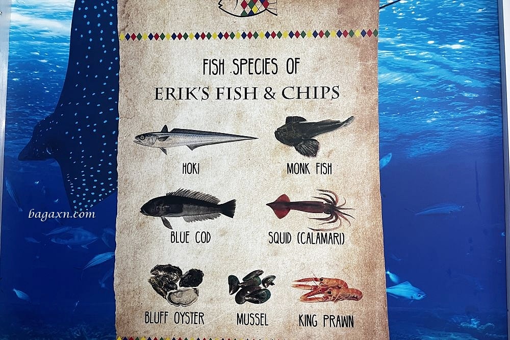 紐西蘭皇后鎮│Erik’s Fish and Chips。薯條很好吃，但番茄醬要加錢