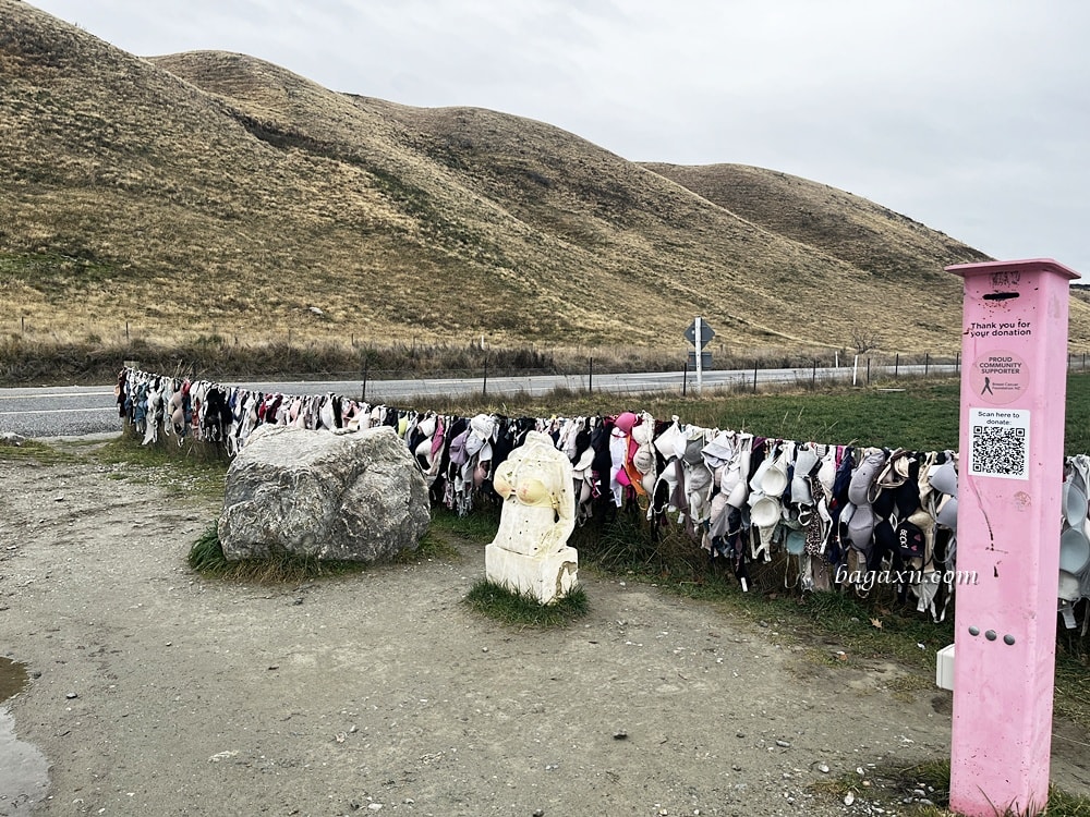 紐西蘭瓦納卡│孤獨的樹、Puzzling World、胸罩圍牆