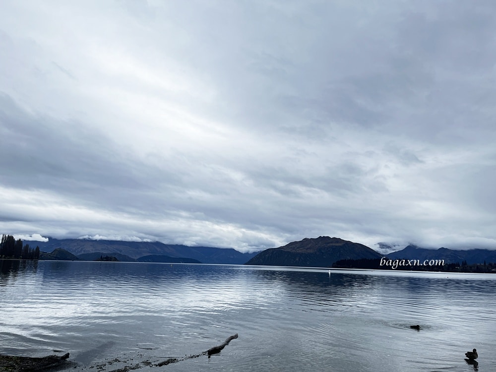 紐西蘭瓦納卡│孤獨的樹、Puzzling World、胸罩圍牆