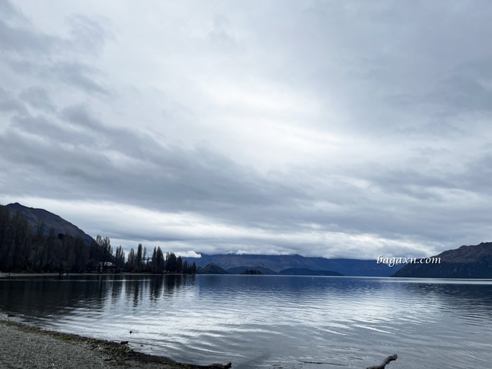 紐西蘭瓦納卡│孤獨的樹、Puzzling World、胸罩圍牆