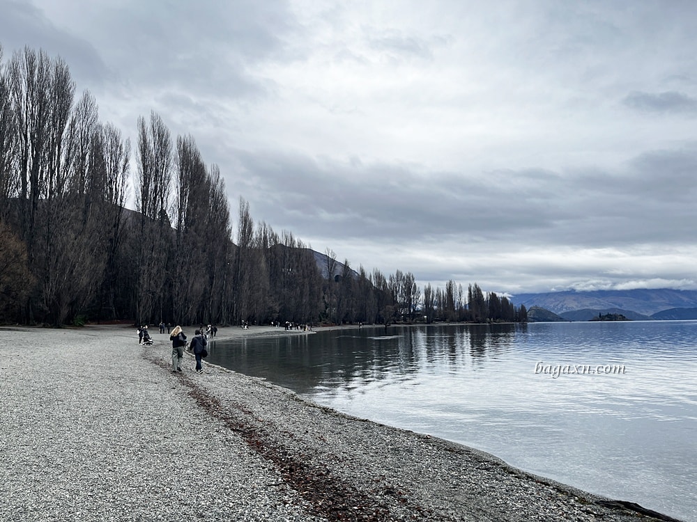 紐西蘭瓦納卡│孤獨的樹、Puzzling World、胸罩圍牆