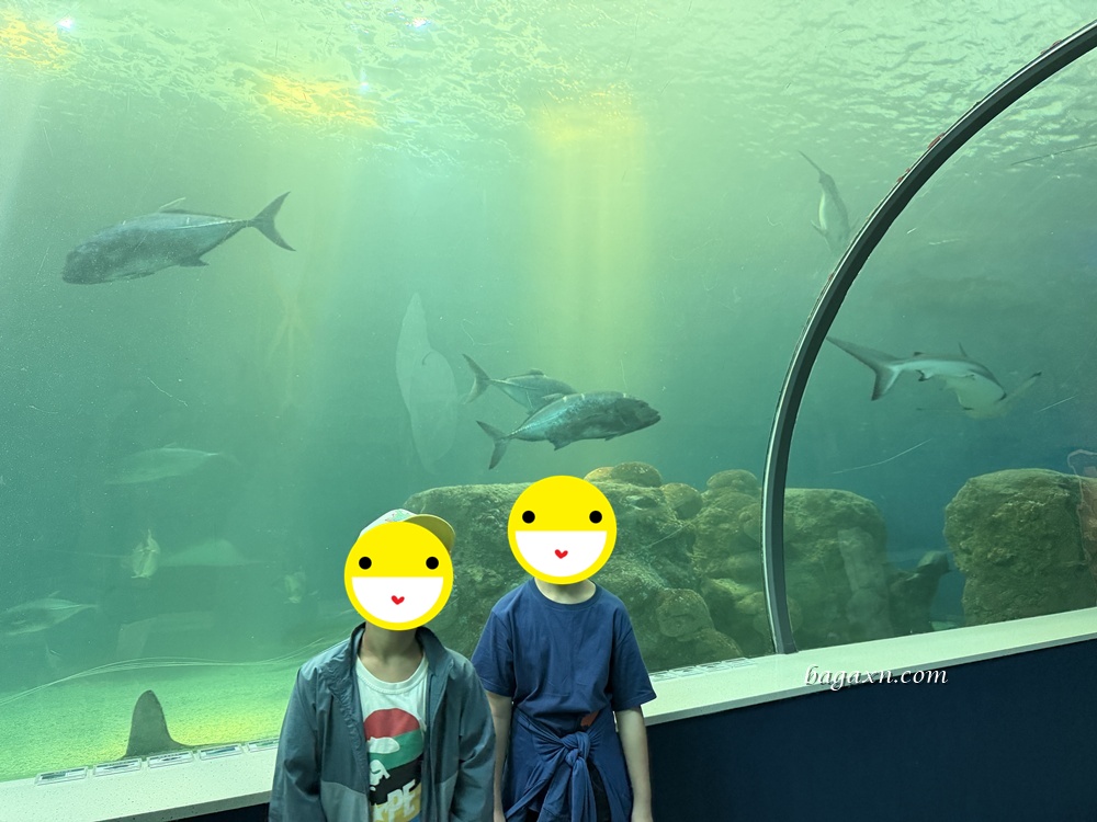 澎湖│DAY2-澎湖水族館。雖然小小的，但有帶小孩可以去一下