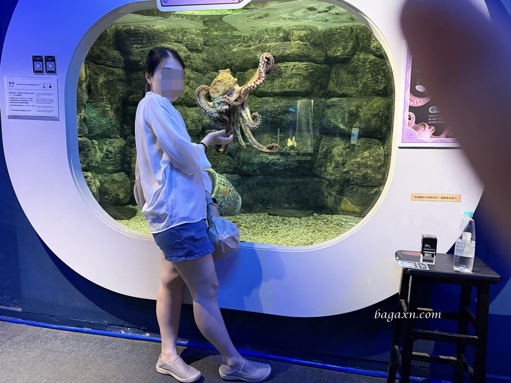 澎湖│DAY2-澎湖水族館。雖然小小的，但有帶小孩可以去一下