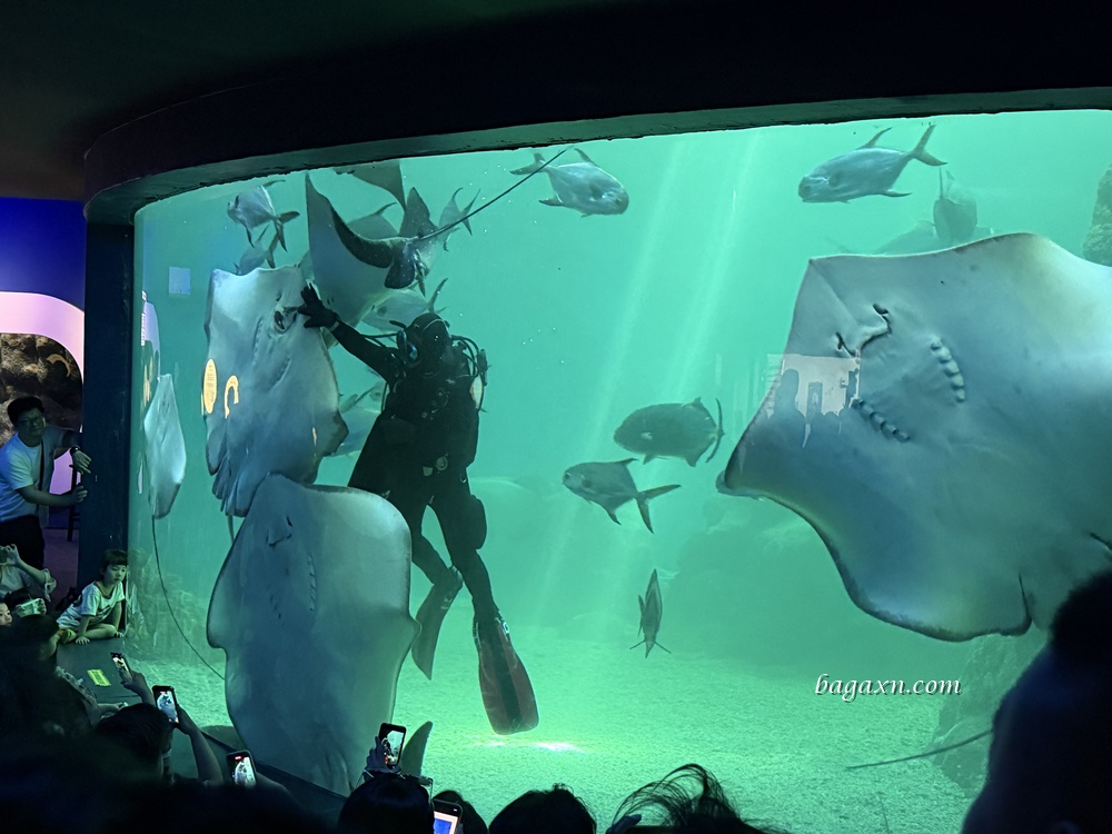 澎湖│DAY2-澎湖水族館。雖然小小的，但有帶小孩可以去一下
